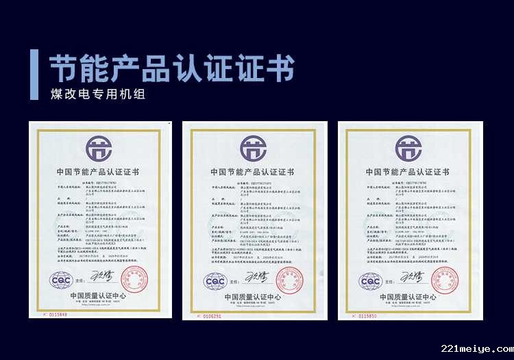 221meiye王牌煤改电